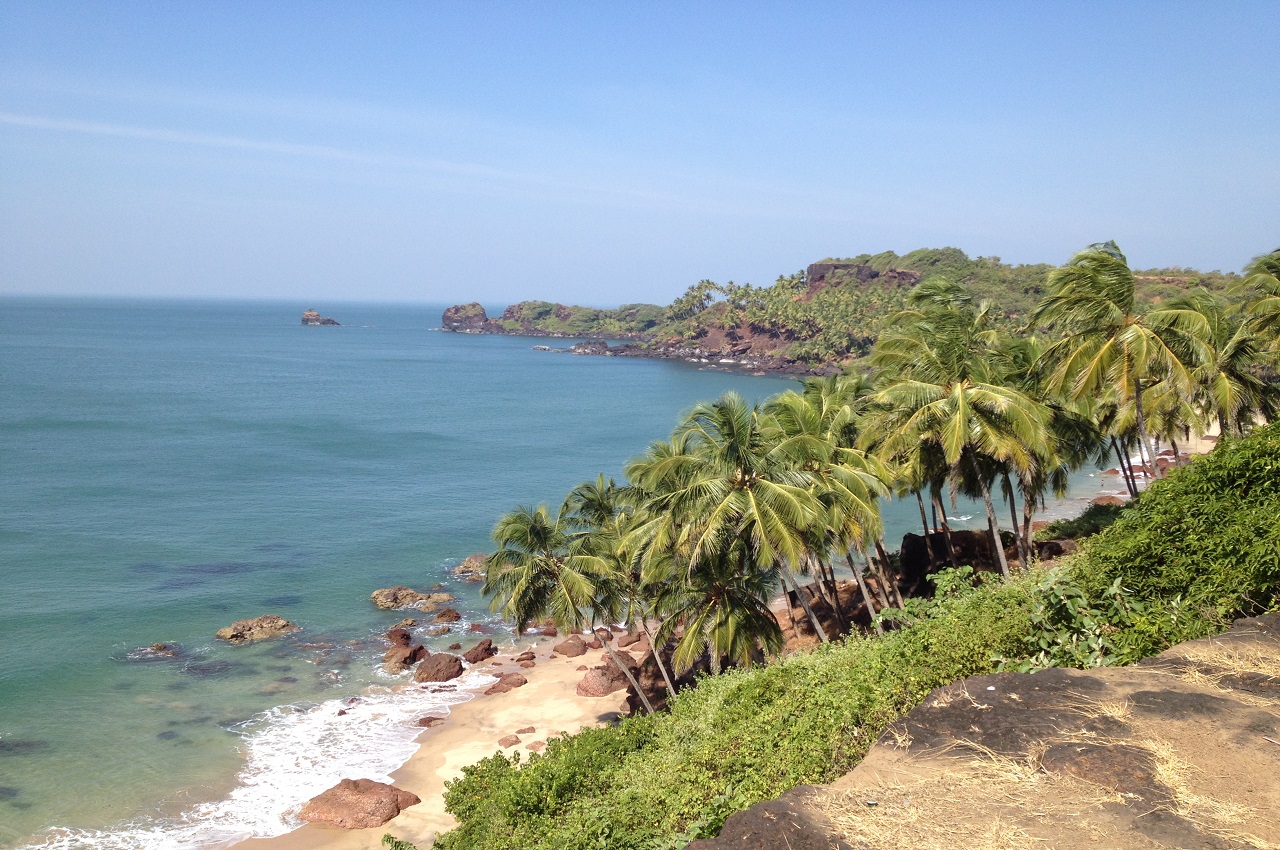 7 Local Goa Tips to get your week sorted