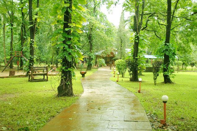 Dudhsagar Spa Retreat, Goa - Way to the Resort