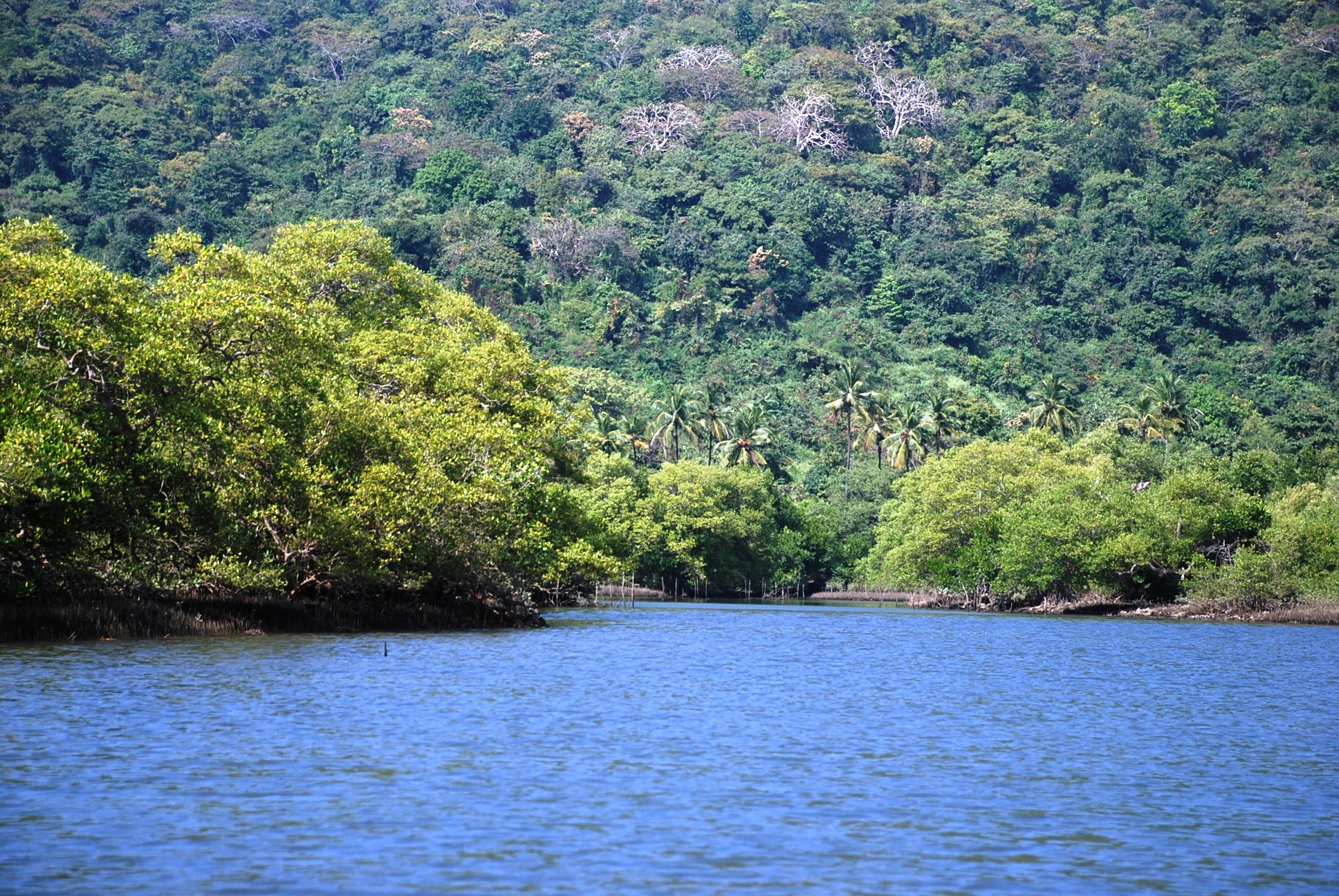 Lakes in Goa for the Perfect Monsoon Outing : Top 5 picks