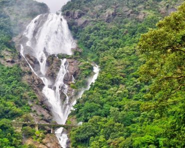 Trekking spots in Goa you need to head to right away