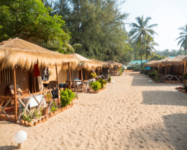 Misconceptions about Goa – Next Trip You may have to shed them off to get a better glance!