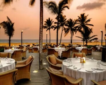 Top 5 Seaside Restaurants in Goa that will make you go Goo-Gaga over Gourmet Grub!