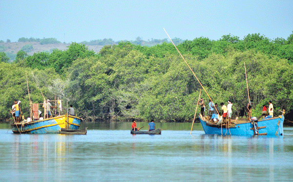 Fishermen Boats at Vanxim Island, Goa