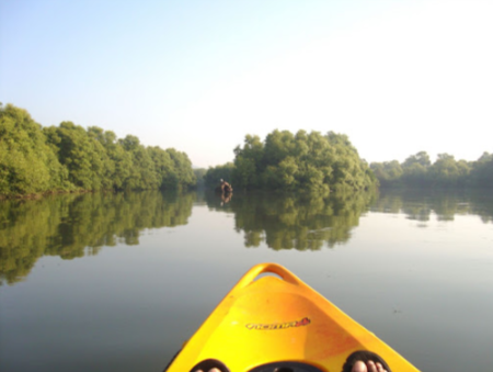 Goa Kayaking Club 