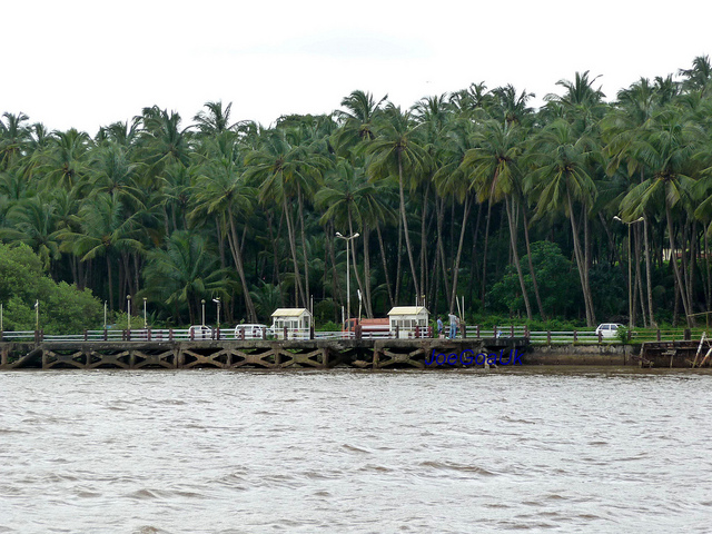 Old Goa Jetty - Fishing Spots for Anglers in Goa