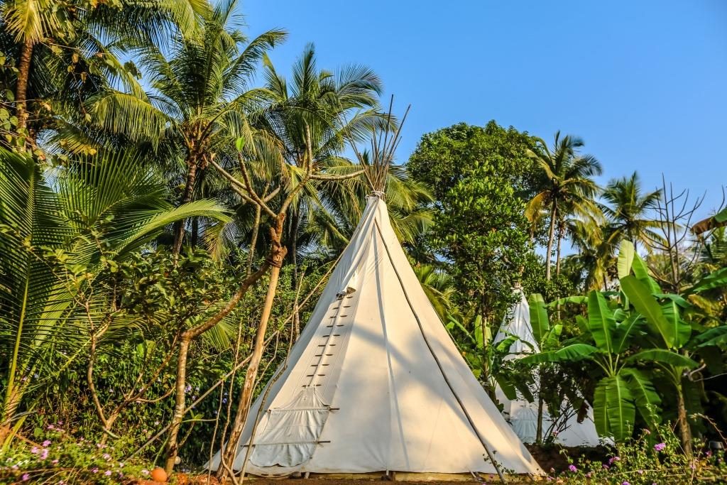 La Mangrove Eco Resort, Patnem, Near Galgibaga, Goa - Teepee