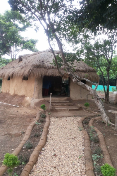 CR Farmhouse Hut